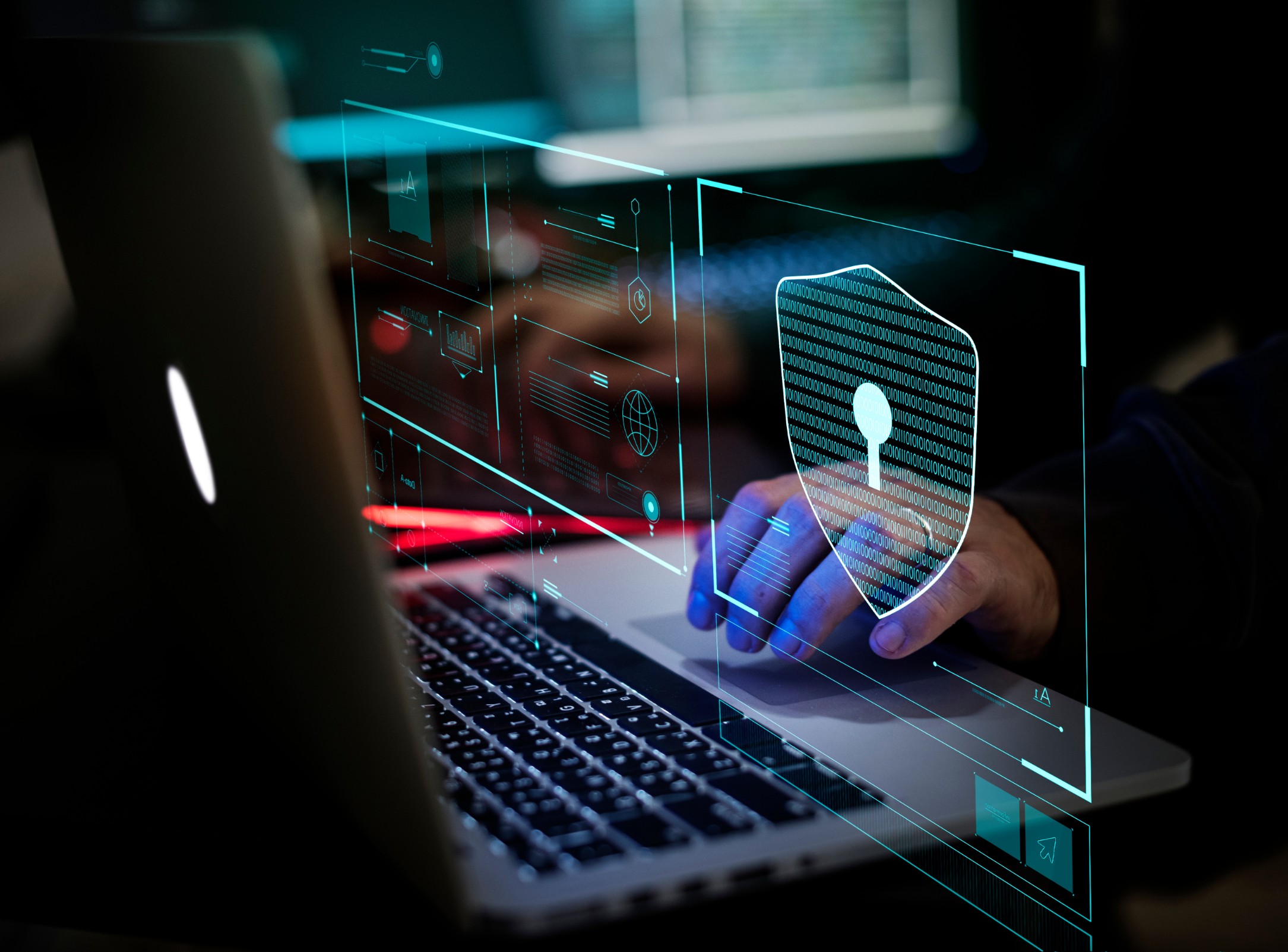 Protection from Internet Fraudsters