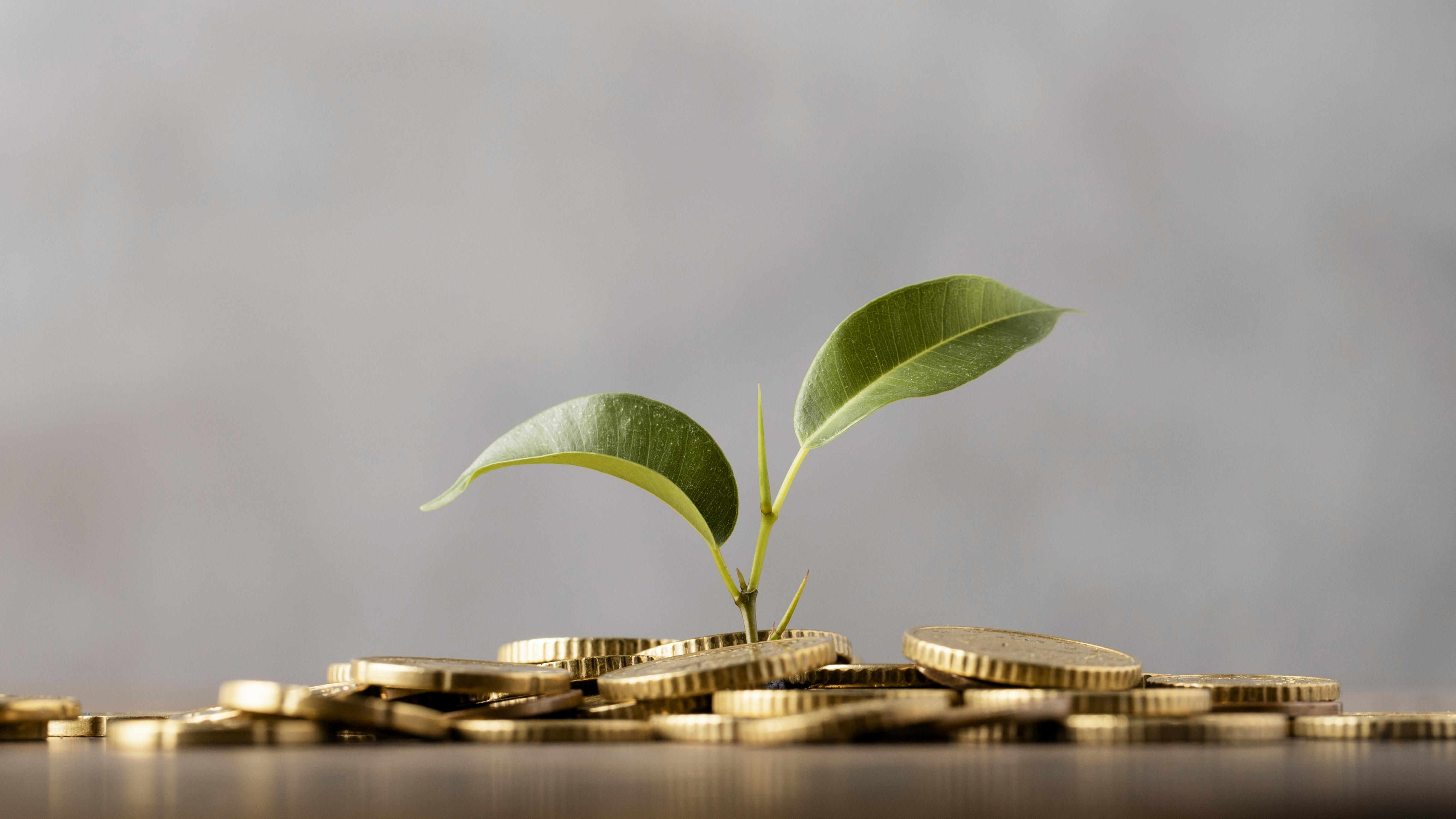 Zenith SME Investment Savings Account (ISA)